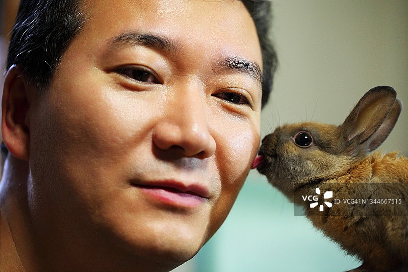 宠物兔舔宠物主人的脸图片素材