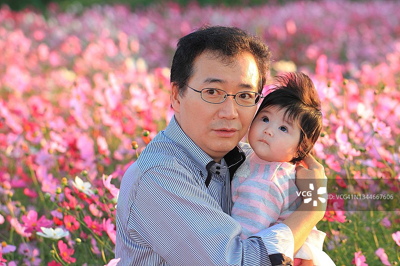 父亲和孩子与波斯菊花合影图片素材