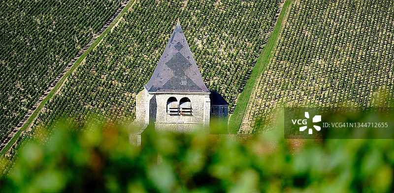 葡萄园中的教堂尖塔图片素材