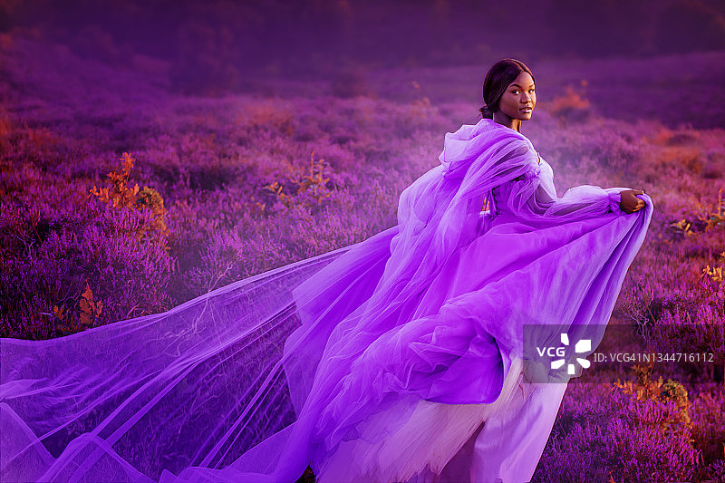 乡村石楠童话背景中的美丽黑人女性幻想公主图片素材