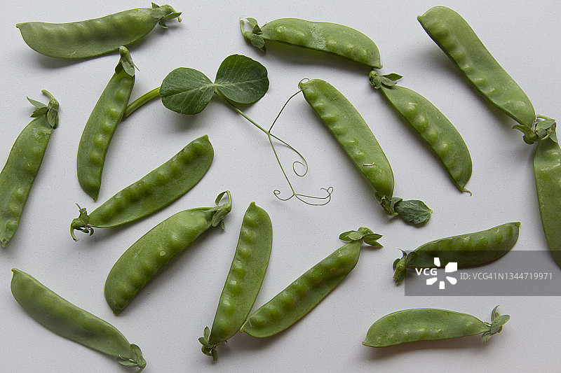 豌豆图片素材