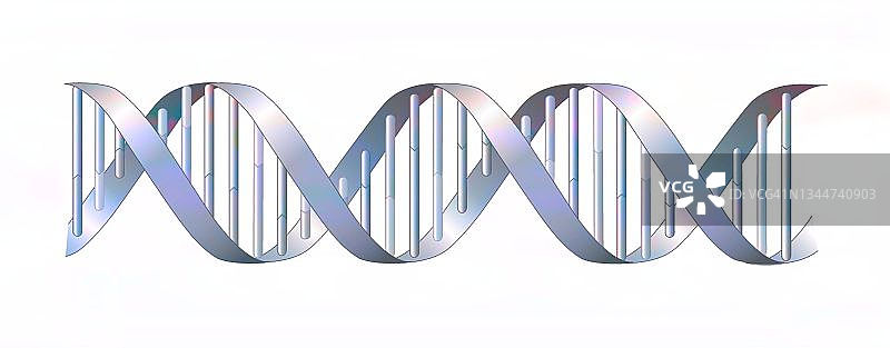DNA遗传学图片素材