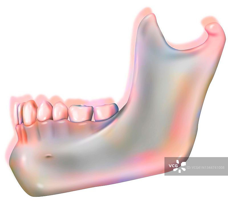 颌骨素描图片素材