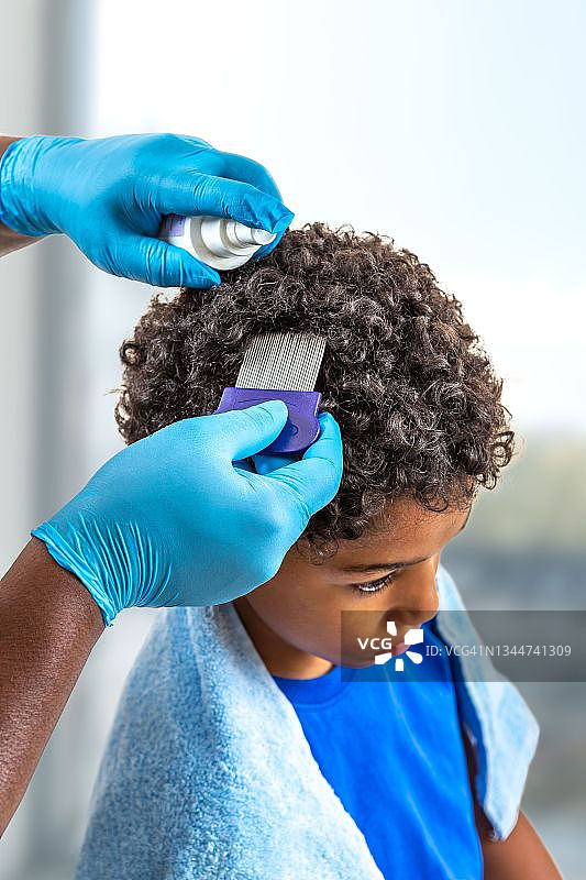 寻找儿童头上的虱子图片素材