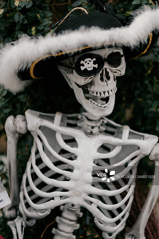 海盗骷髅图片素材