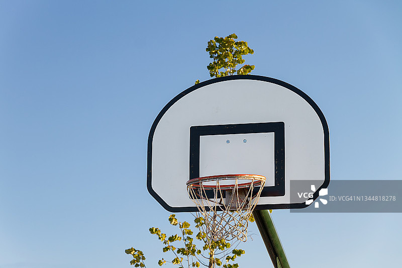 篮球框图片素材