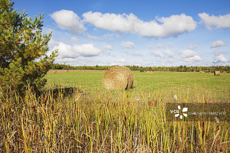 农村的场景图片素材