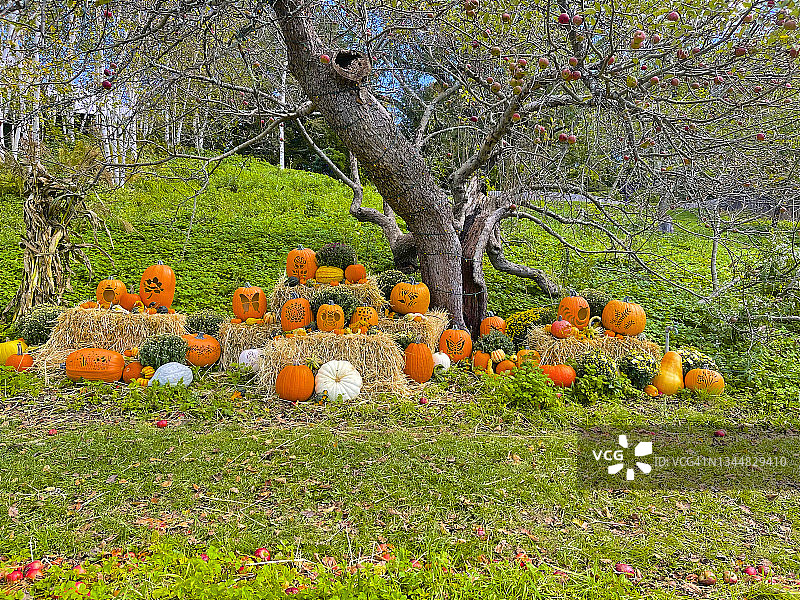万圣节陈列，西斯托克布里奇图片素材