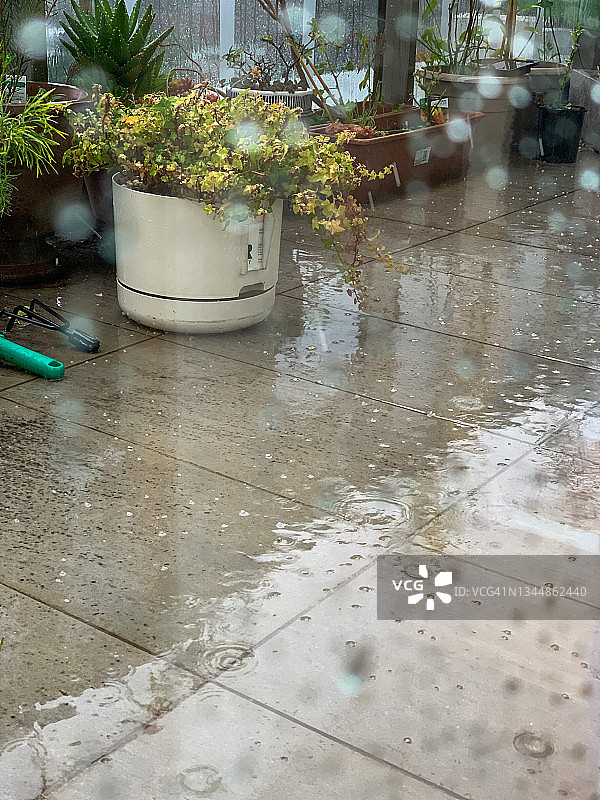 春季黑尔图片素材