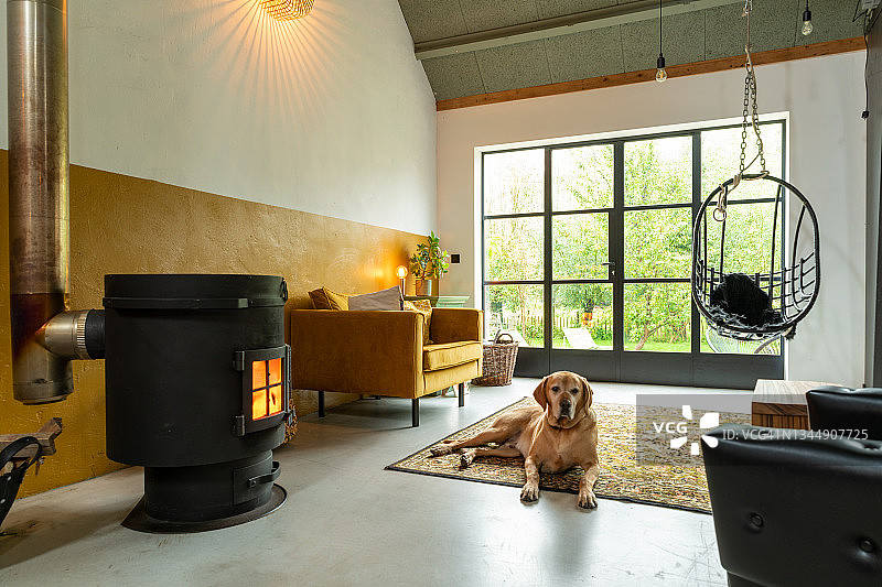 阁楼室内设计：带老犬的燃木炉、中古现代家具客厅，水泥地面、芥末黄双人沙发、悬挂式藤椅和复古地毯，兼收并蓄的客厅图片素材