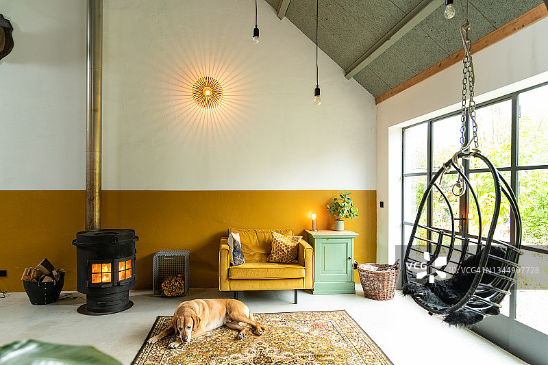 阁楼室内设计：带老犬的燃木炉、中古现代家具客厅，水泥地面、芥末黄双人沙发、悬挂式藤椅和复古地毯，兼收并蓄的客厅图片素材