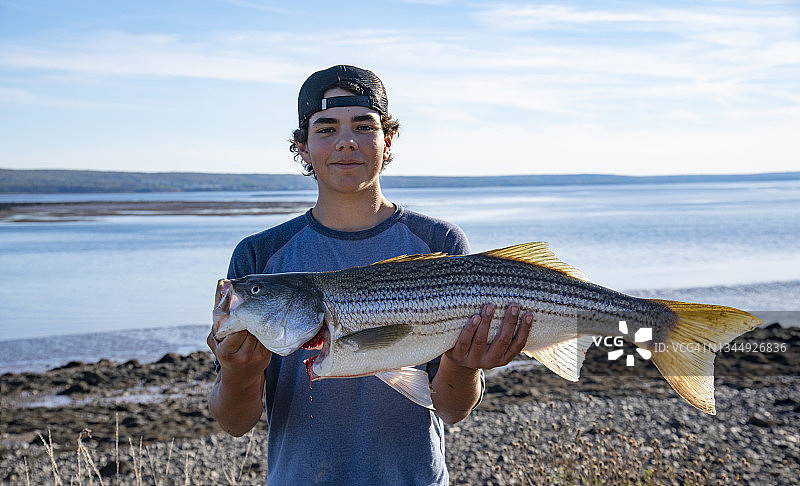 精彩的捕捉图片素材