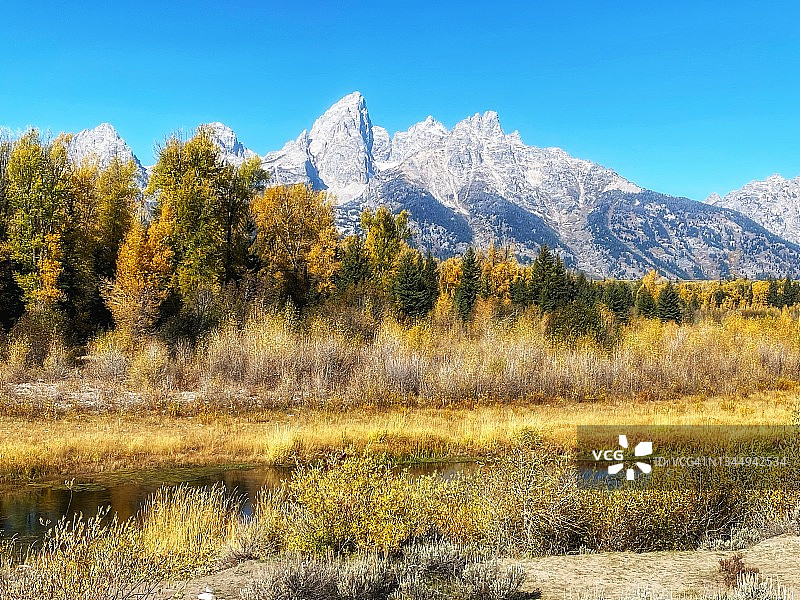 杰克逊霍尔的金色秋日清晨图片素材