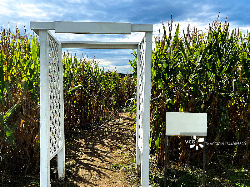 传统玉米迷宫风景小路入口（带空白标牌）图片素材