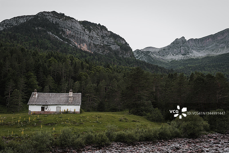 森林中的房屋图片素材