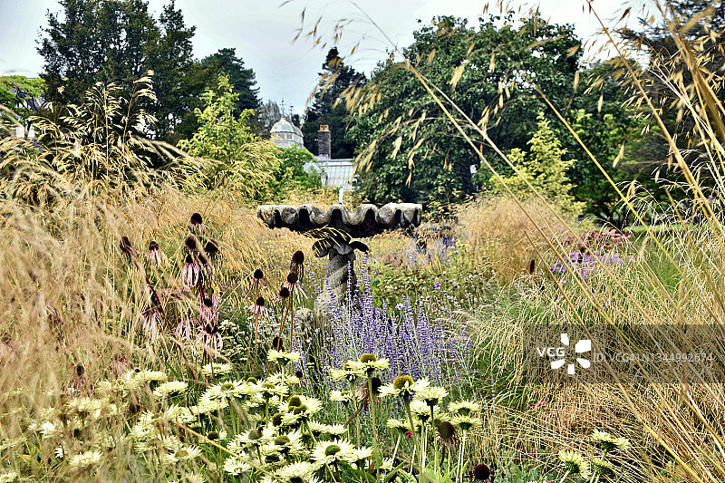 喧闹的夏天图片素材
