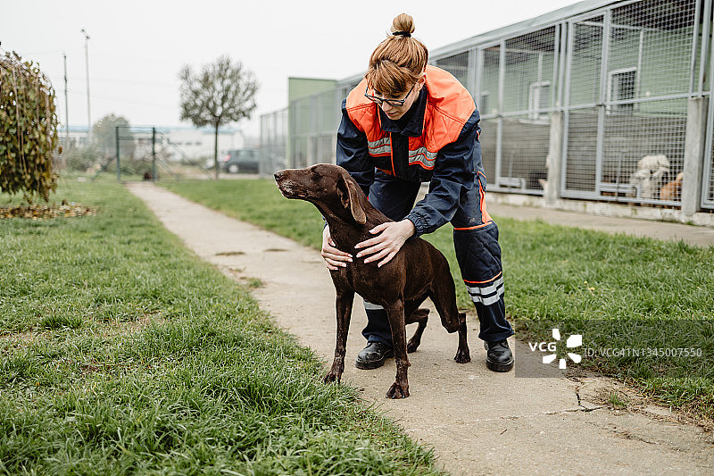 在动物收容所的年轻女人图片素材