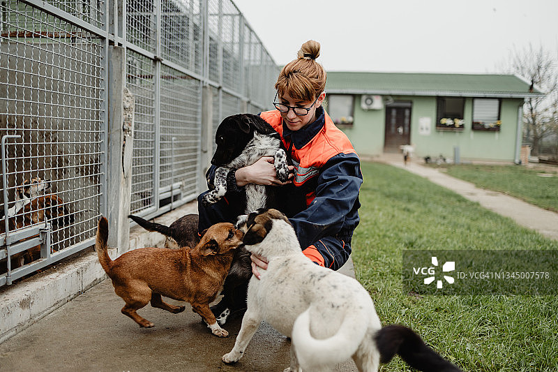 在动物收容所的年轻女人图片素材