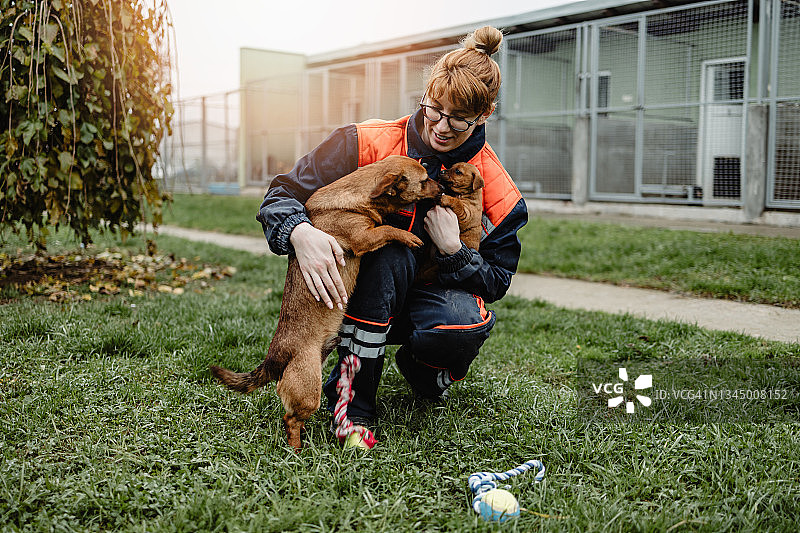 在动物收容所的年轻女人图片素材