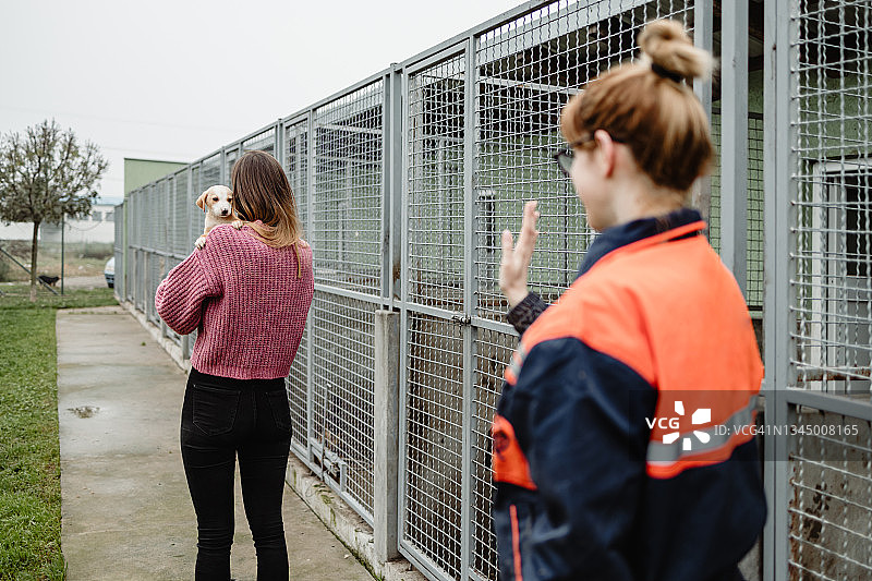 年轻女人和工作人员在收容所选择要领养的狗图片素材
