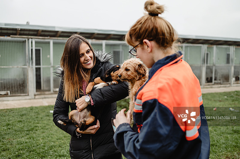 年轻女人和工作人员在收容所选择要领养的狗图片素材