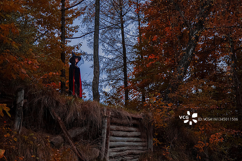 柔焦噪点万圣节女巫COSPLAY摄影图片素材