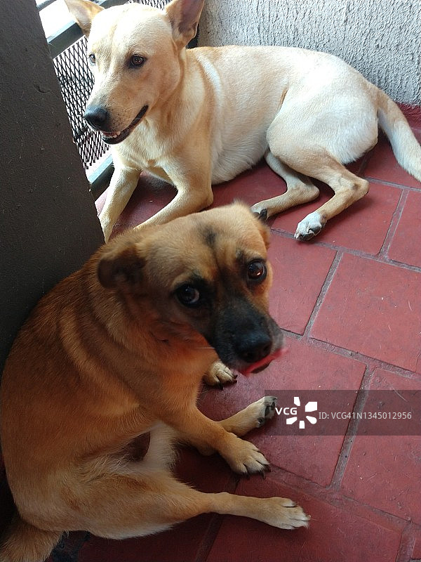 女朋友们图片素材