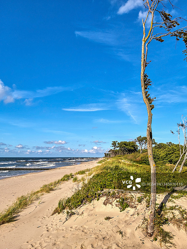 波兰维奇村附近的波罗的海海滩图片素材