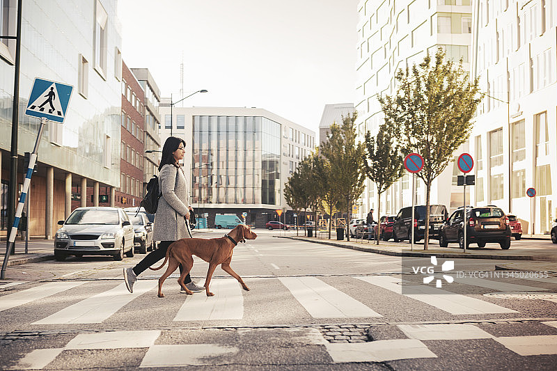 背着背包带着狗穿过城市道路的年轻女子图片素材
