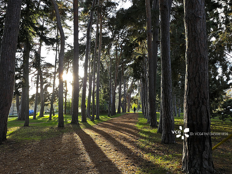 高个子之间的小个子图片素材