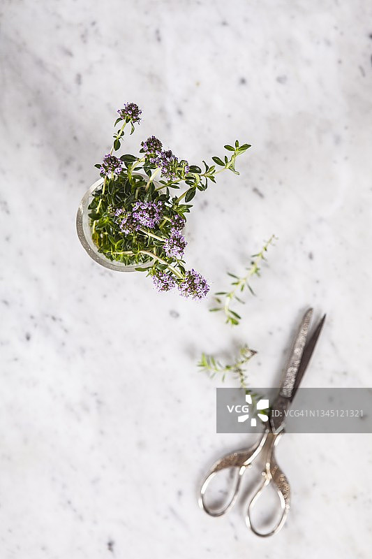 玻璃罐中的新鲜夏季香薄荷（顶视图）图片素材