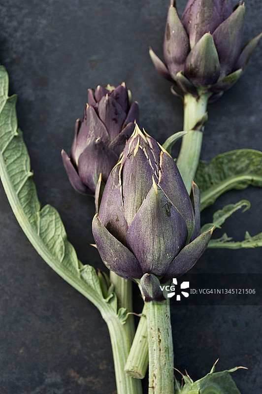 朝鲜蓟（特写）图片素材