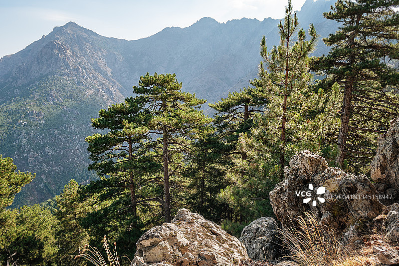 法国科西嘉岛森林和山脉图片素材