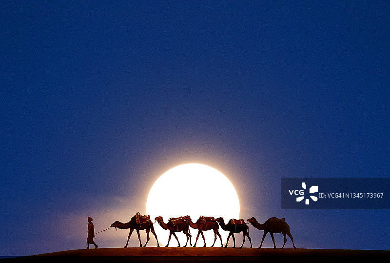 男人带领骆驼队图片素材