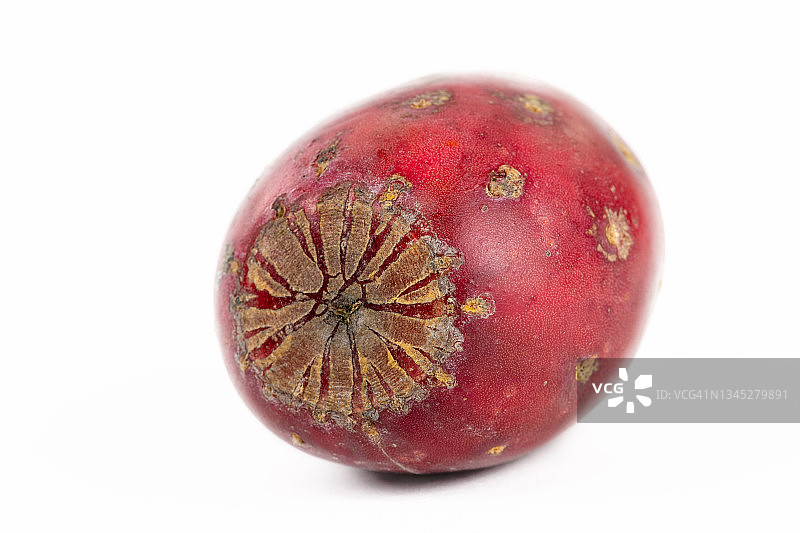 仙人掌果或刺梨图片素材