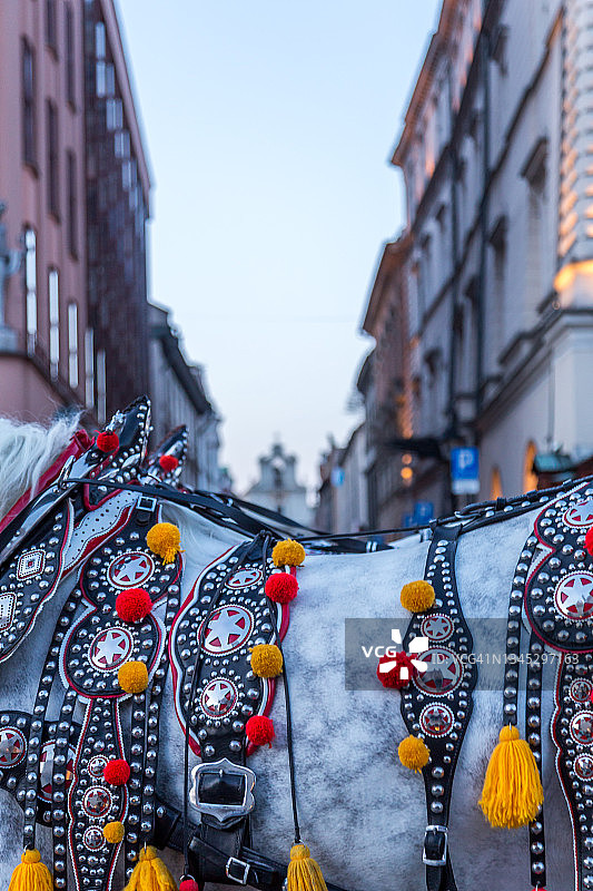 马车上的肚带特写图片素材