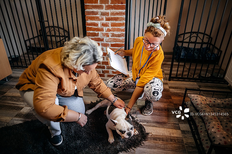 每只狗狗都需要爱图片素材