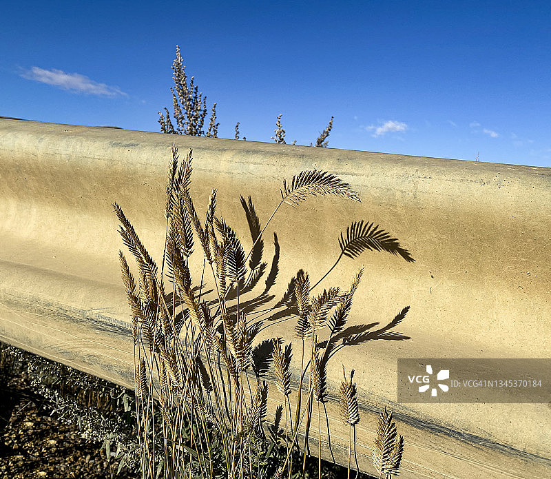 乡村护栏特写图片素材