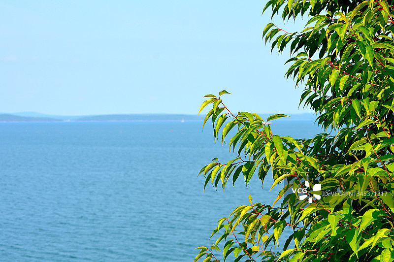 缅因湾图片素材