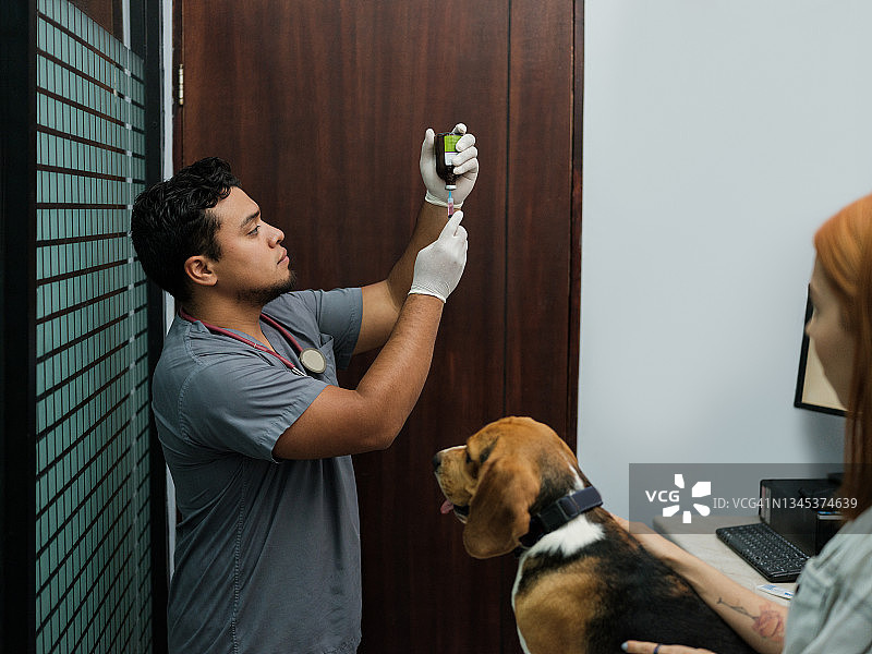 戴手套的男兽医为狗准备药物图片素材