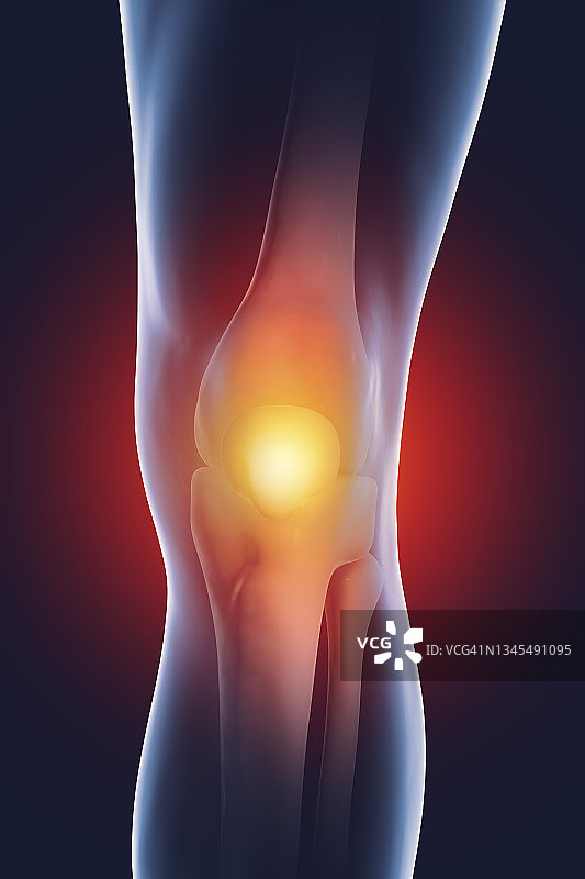 人类膝关节插图图片素材