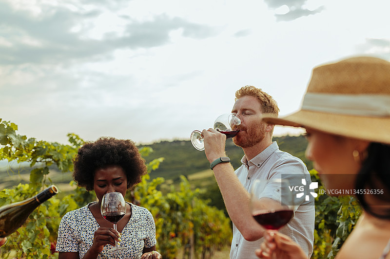 在葡萄园品酒图片素材