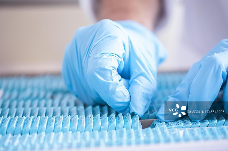 实验室样本切片组织学制备，德国巴登-符腾堡州弗莱堡图片素材