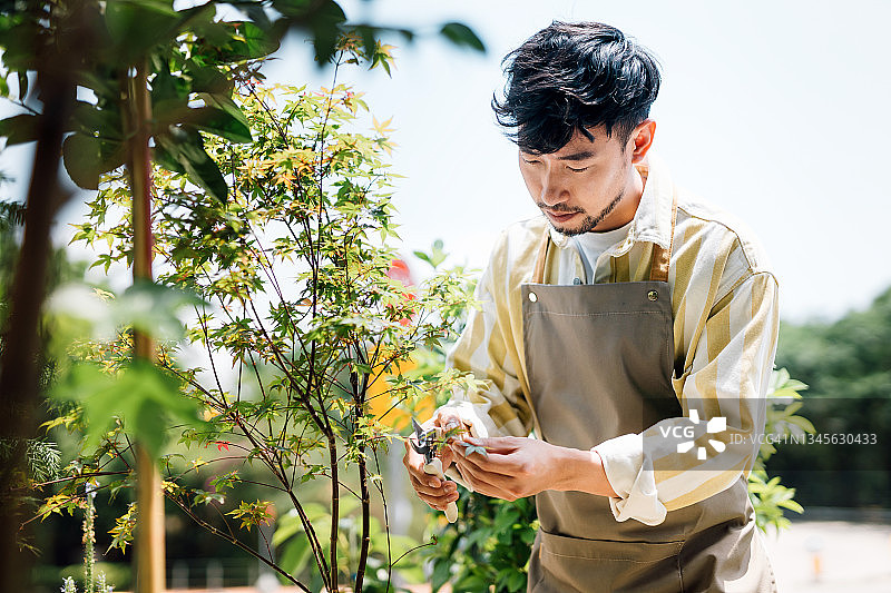 年轻的亚洲男花艺师在花店打理植物图片素材