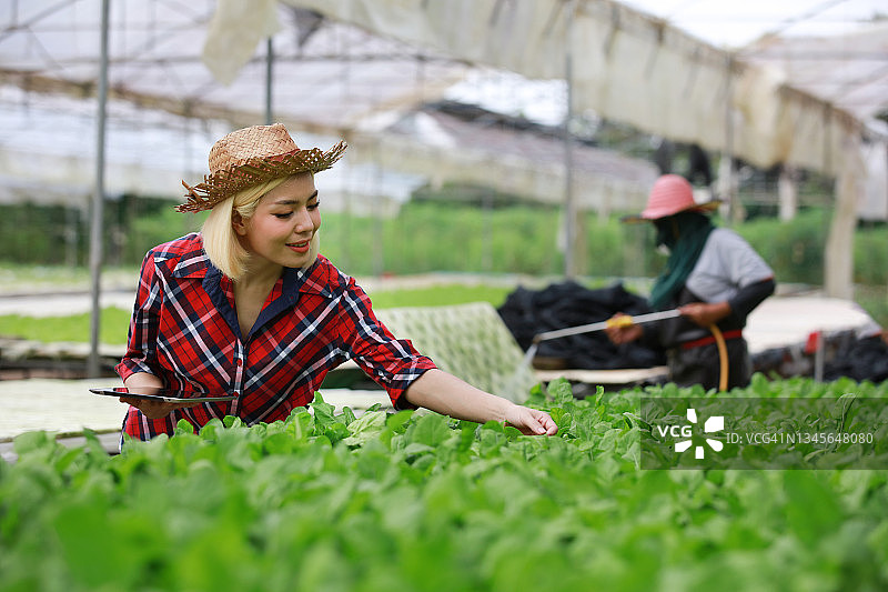 年轻亚洲女人有机菜园工作图片素材
