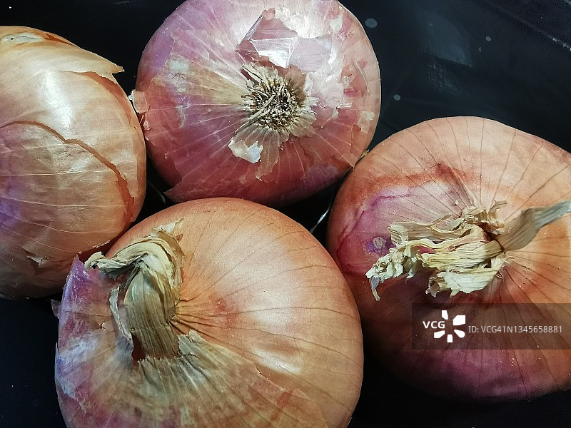洋葱图片素材