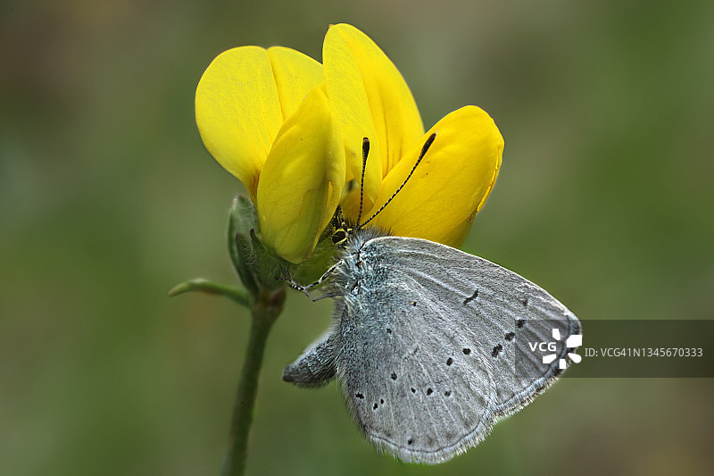 小号蓝色图片素材