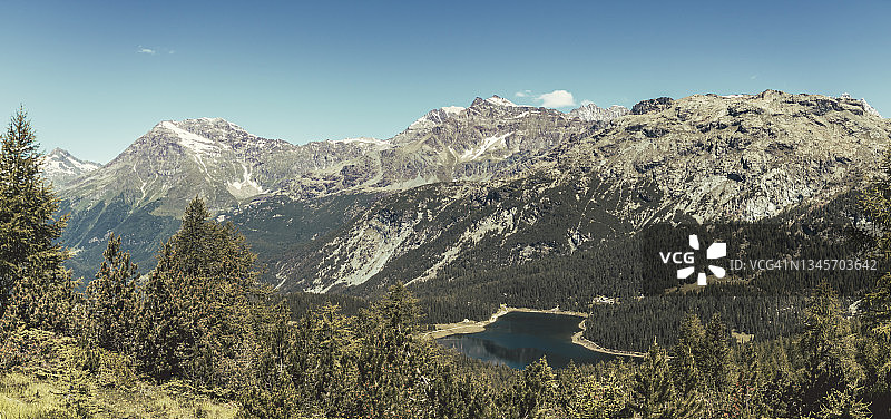 阿尔卑斯山森林山谷全景图片素材