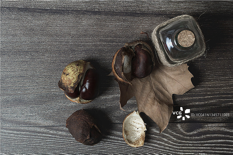 带外壳的欧洲栗与玻璃瓶图片素材