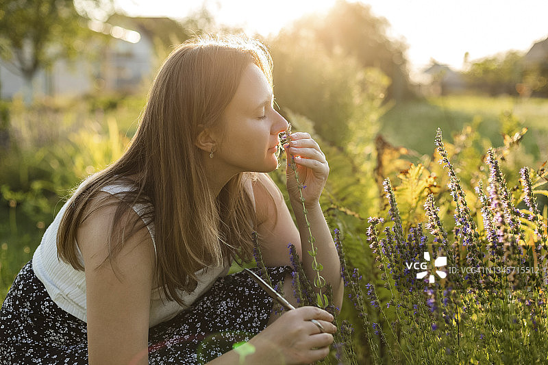 女人在后院闻牛膝草花图片素材